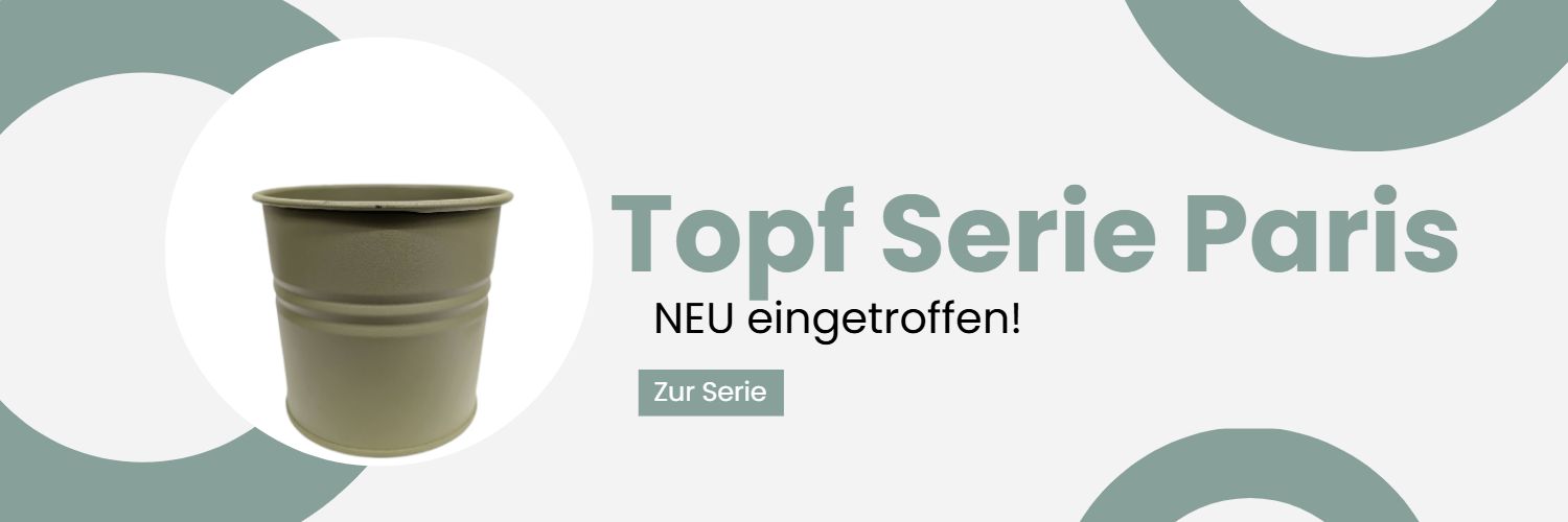Paris Serie